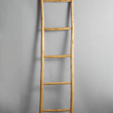 Wooden ladder against a gray background